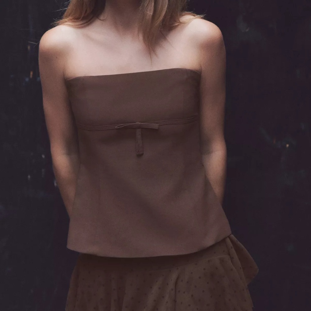 Brown zara top